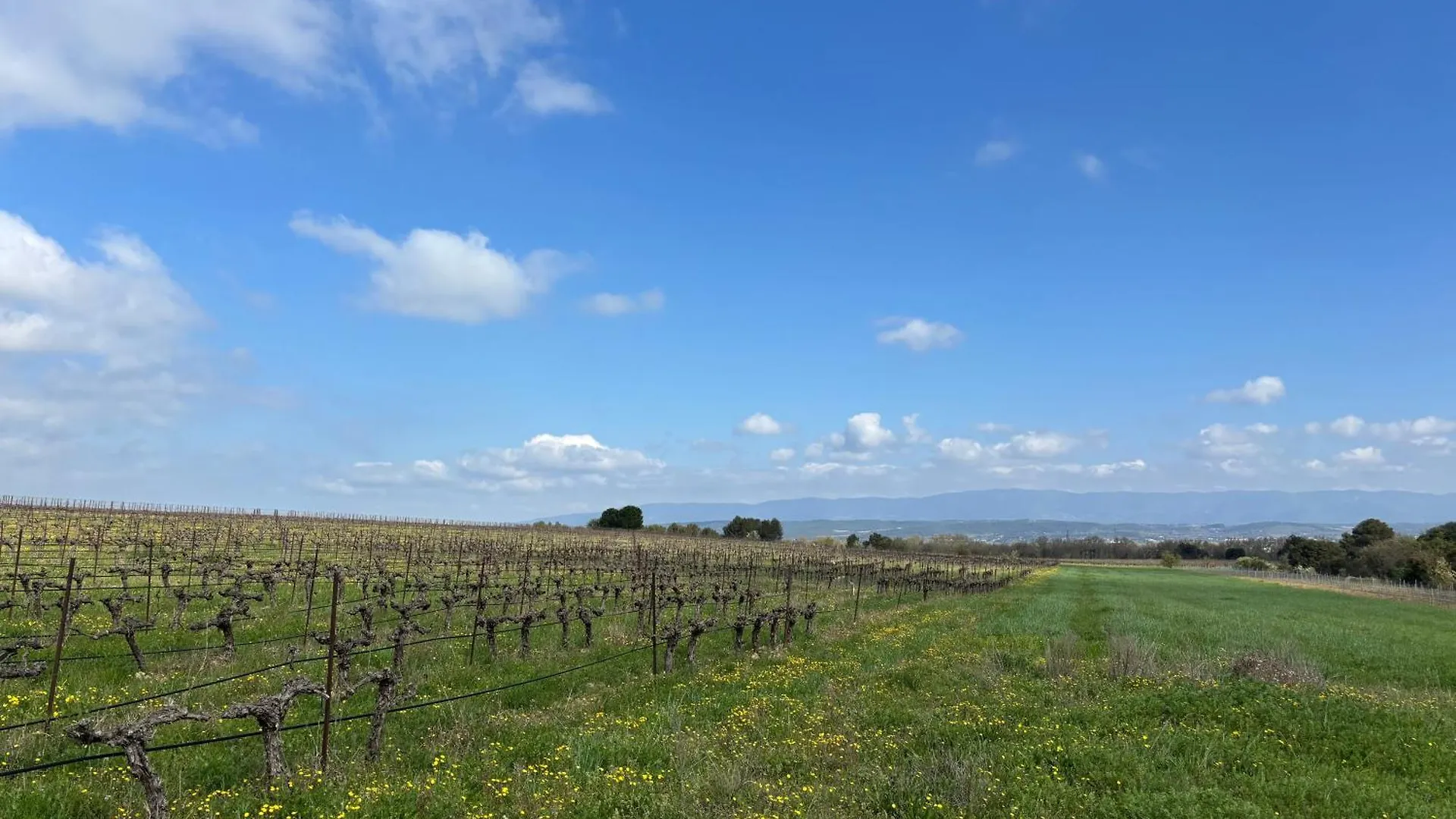 Country house La Tiny House Des Vignes Du Chateau De Vauclaire Meyrargues