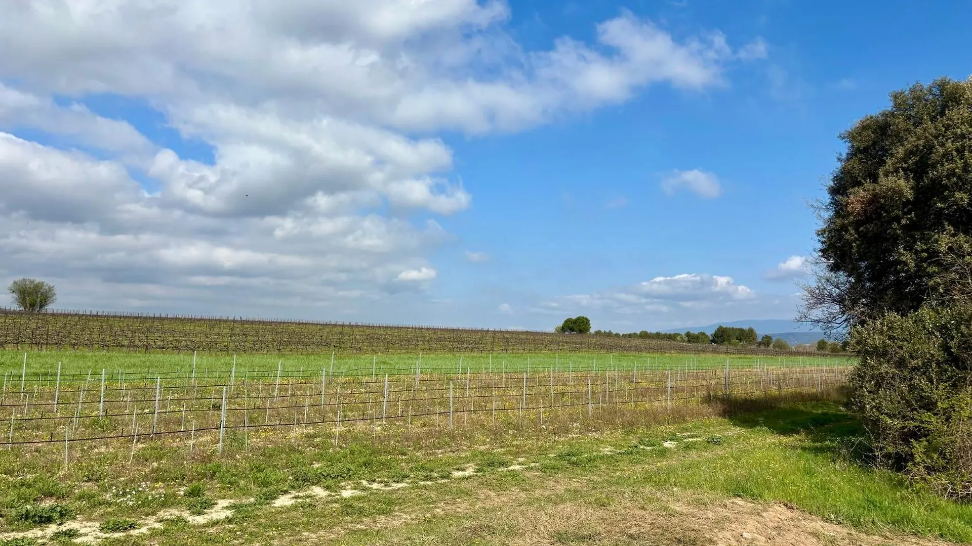 La Tiny House Des Vignes Du Chateau De Vauclaire Meyrargues France