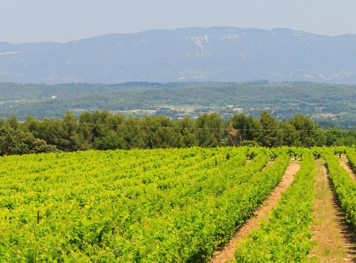 La Tiny House Des Vignes Du Chateau De Vauclaire Meyrargues France