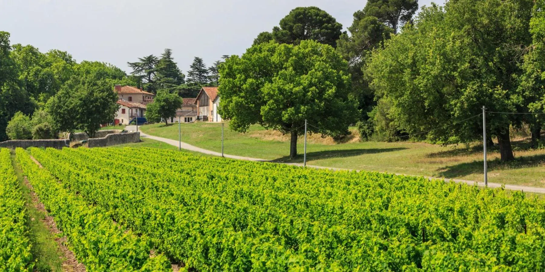 La Tiny House Des Vignes Du Chateau De Vauclaire Meyrargues 0*,  France